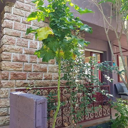 Chambres Privees Maison Jardin Toutes Commodites Partagees Valras-Plage Exterior foto