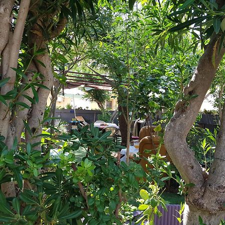 Chambres Privees Maison Jardin Toutes Commodites Partagees Valras-Plage Exterior foto