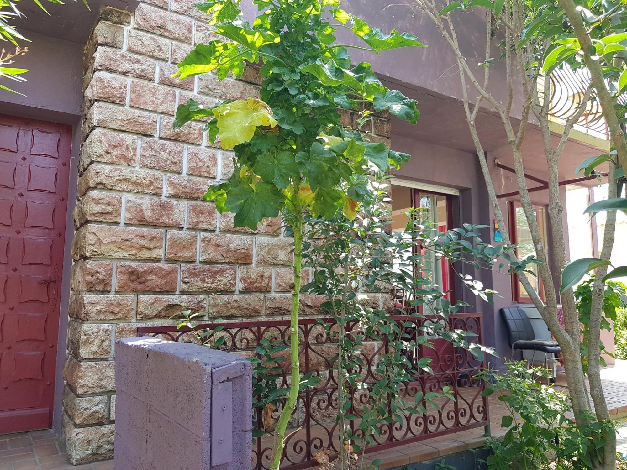 Chambres Privees Maison Jardin Toutes Commodites Partagees Valras-Plage Exterior foto